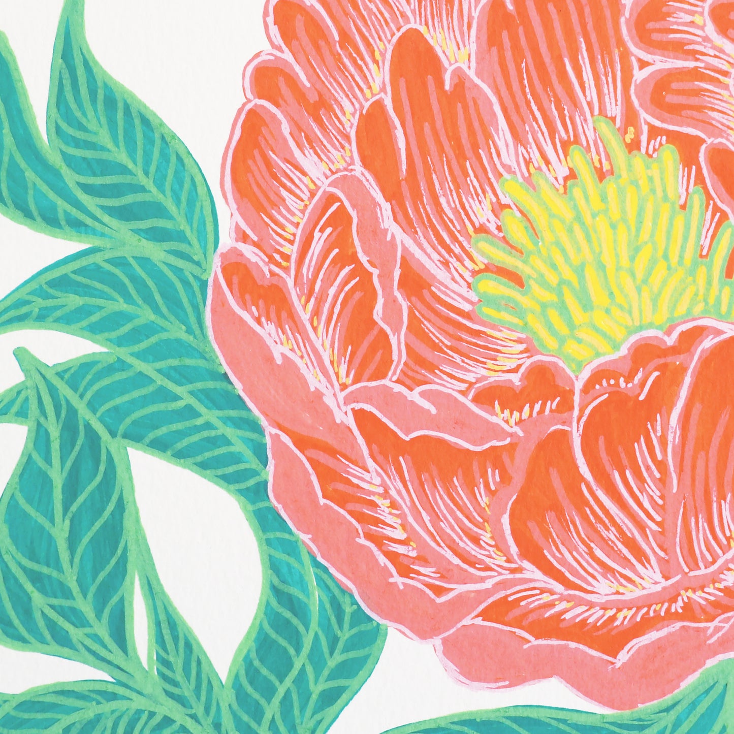 Print of Little Delight #8: Coral Peony